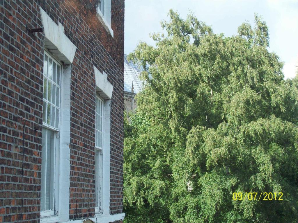 Minster Garth Guest House Beverley Værelse billede